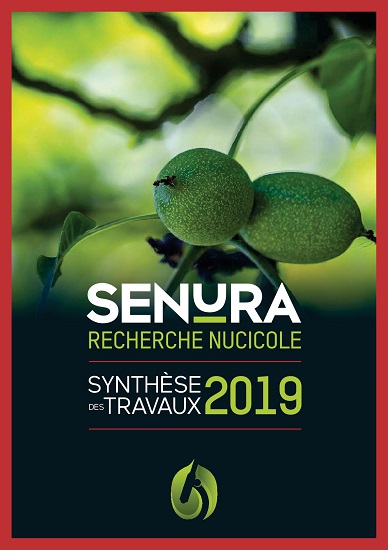 Synthèse des travaux 2019