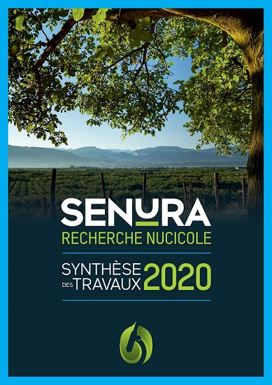 Synthèse des travaux 2020