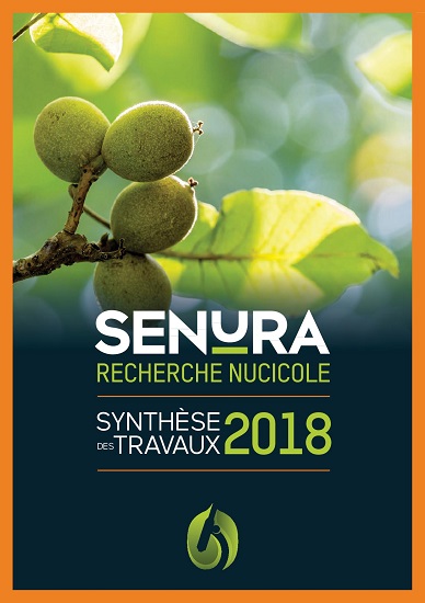 Synthèse des travaux 2018