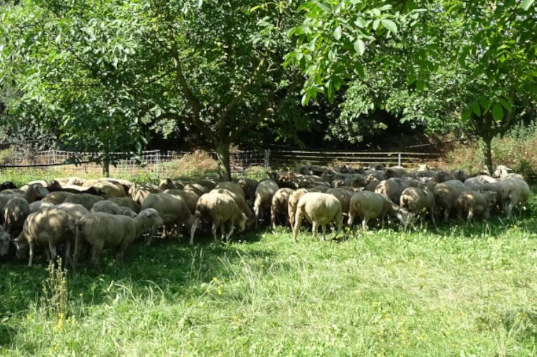 Retour d’expérience