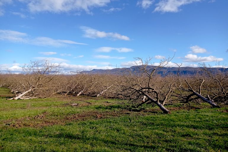 La SENuRA renouvelle son verger expérimental