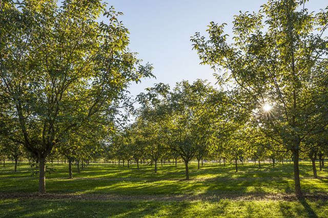 Trois évènements à ne pas manquer