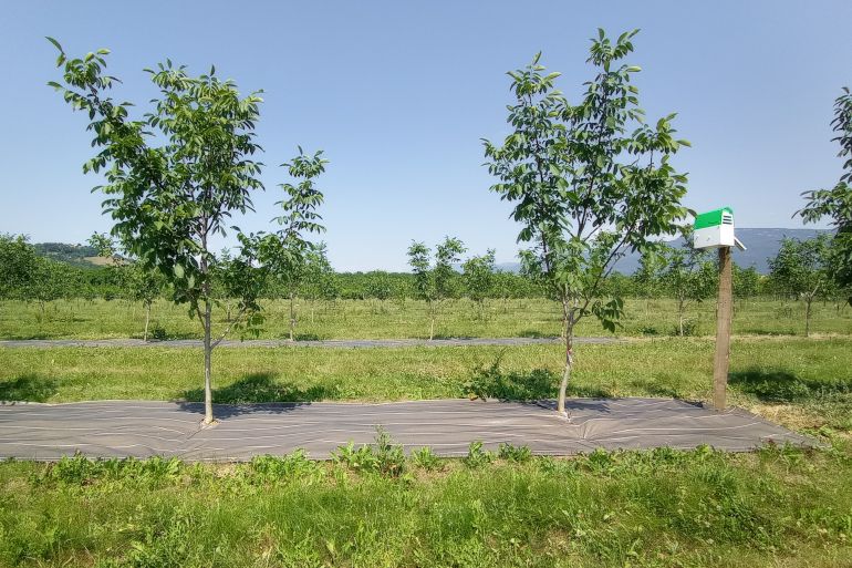 Démarrage du projet Opti-Noix